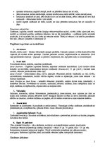 Konspekts 'Konspekts priekšmetam "Ievads vēstures zinātnē"', 2.