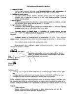 Konspekts 'Lietu tiesības', 4.