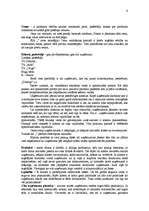 Referāts 'Tirgzinību plānošana', 6.