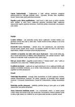 Referāts 'Tirgzinību plānošana', 12.