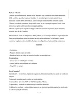 Konspekts 'Grīdas segumu veidi', 2.