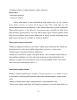 Konspekts 'Grīdas segumu veidi', 7.