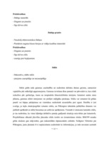 Konspekts 'Grīdas segumu veidi', 12.