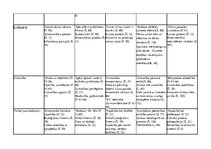 Konspekts 'Vecumposmu psihisko procesu raksturojums', 4.