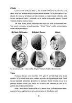 Referāts 'Nauda', 40.