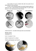 Referāts 'Nauda', 41.