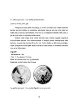 Referāts 'Nauda', 42.