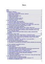 Prakses atskaite 'Prakses atskaite A/S "Drogas"', 2.