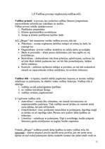 Prakses atskaite 'Prakses atskaite A/S "Drogas"', 11.