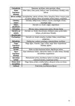 Prakses atskaite 'Prakses atskaite A/S "Drogas"', 19.