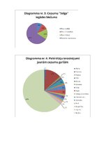 Referāts 'Tirgus izpētes process', 9.