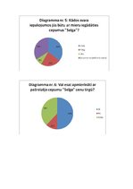 Referāts 'Tirgus izpētes process', 10.