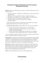 Konspekts 'Medicīniskā parazitoloģija - patstāvīgais darbs mikrobioloģijā', 8.