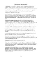 Konspekts 'Medicīniskā parazitoloģija - patstāvīgais darbs mikrobioloģijā', 15.