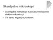 Prezentācija 'Mikroskops', 13.