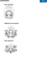 Paraugs 'Vadlīnijas dokumentu izstrādāšanai un noformēšanai', 103.