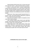 Prakses atskaite 'Sociālā gadījuma risināšanas prakse', 6.