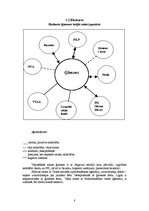 Prakses atskaite 'Sociālā gadījuma risināšanas prakse', 8.