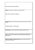 Prakses atskaite 'Sociālā gadījuma risināšanas prakse', 13.