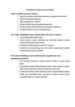 Prakses atskaite 'Sociālā gadījuma risināšanas prakse', 17.