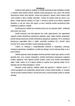 Prakses atskaite 'Sociālā gadījuma risināšanas prakse', 19.