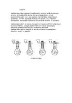 Referāts 'Iekšdedzes dzinēji', 3.