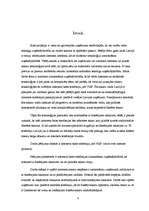 Referāts 'Interneta izmantošana uzņēmējdarbībā', 4.