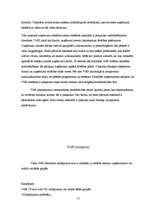 Referāts 'Interneta izmantošana uzņēmējdarbībā', 15.