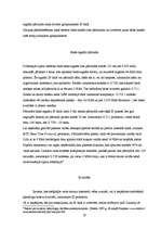 Referāts 'Interneta izmantošana uzņēmējdarbībā', 19.