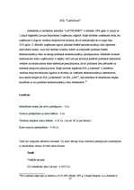 Referāts 'Interneta izmantošana uzņēmējdarbībā', 25.