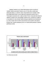 Referāts 'Interneta izmantošana uzņēmējdarbībā', 45.