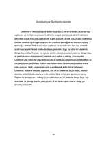 Referāts 'Interneta izmantošana uzņēmējdarbībā', 46.