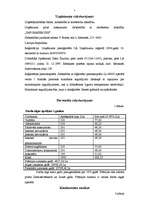 Biznesa plāns 'SIA "Infoserviss"', 5.