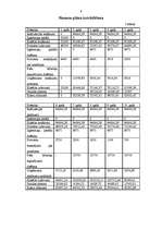 Biznesa plāns 'SIA "Infoserviss"', 9.