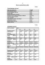 Biznesa plāns 'SIA "Infoserviss"', 10.