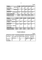 Biznesa plāns 'SIA "Infoserviss"', 12.