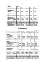 Biznesa plāns 'SIA "Infoserviss"', 15.