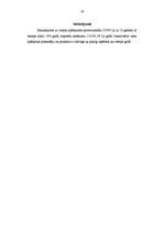 Biznesa plāns 'SIA "Infoserviss"', 19.