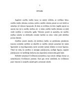 Referāts 'Saistību tiesību rašanās, jēdziens, nozīme, būtība', 2.