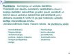 Prezentācija 'Plurālisms un dekonstrukcija Patrika Zīskinda romānā "Parfīms"', 2.