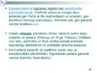 Prezentācija 'Plurālisms un dekonstrukcija Patrika Zīskinda romānā "Parfīms"', 20.