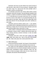 Referāts 'Valodu saimes, latviešu valoda un rakstība', 3.