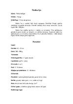 Konspekts 'Vanagu dzimta', 6.