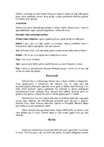 Konspekts 'Vanagu dzimta', 11.