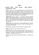 Konspekts 'Vanagu dzimta', 26.