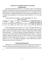 Referāts 'Būvģipsis', 6.