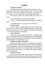 Referāts 'Zooloģijas pamati', 1.