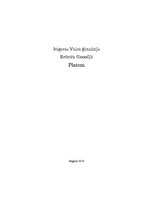 Referāts 'Platons', 1.
