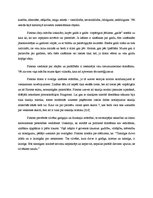 Referāts 'Platons', 5.