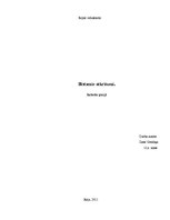 Referāts 'Bīstamie atkritumi', 1.